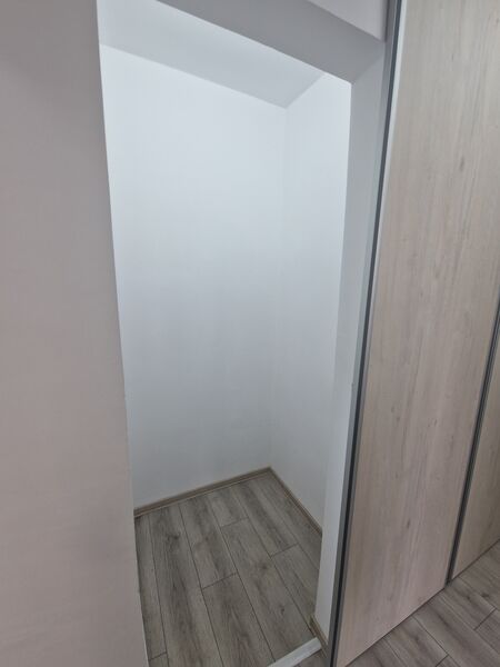 Berceni- Emil Racovita- Aliorului zona verde-acces rapid transport