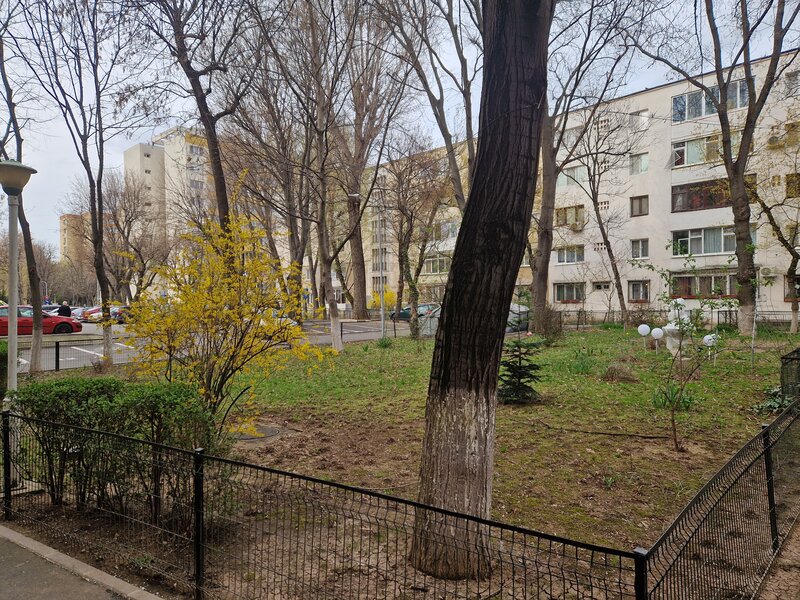 Berceni- Emil Racovita- Aliorului zona verde-acces rapid transport